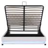 Queen Size Storage Upholstered Platform Bed with Adjustable Tufted Headboard and LED Light