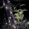 2Pcs LED String Lights 100LED Beads 32.8FT Copper Fairy Lights