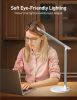 LED Desk Lamp